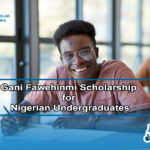 gani-fawehinmi-scholarship-for-nigerian-undergraduates