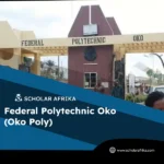 federal-polytechnic-oko